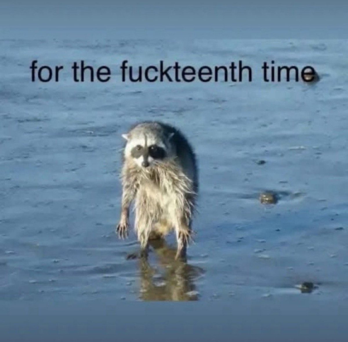 Jo 🇺🇸 tweet media