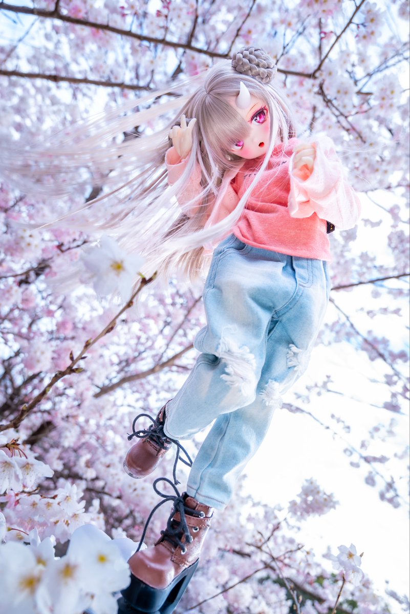 🍚しょー吉🍚 tweet media