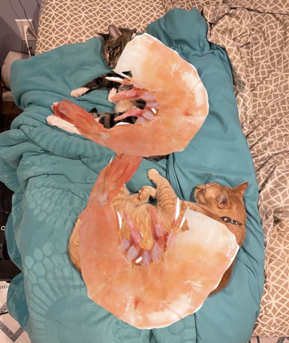 Donte DiVinFriendZone tweet media