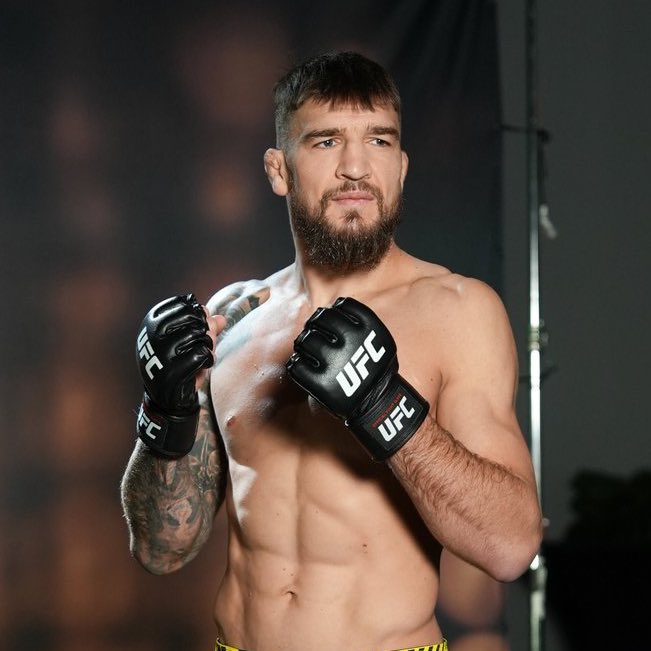 José Louis tweet media