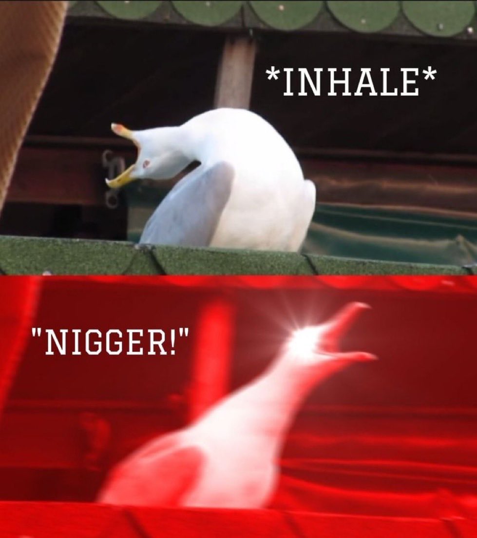 Gargamel tweet media