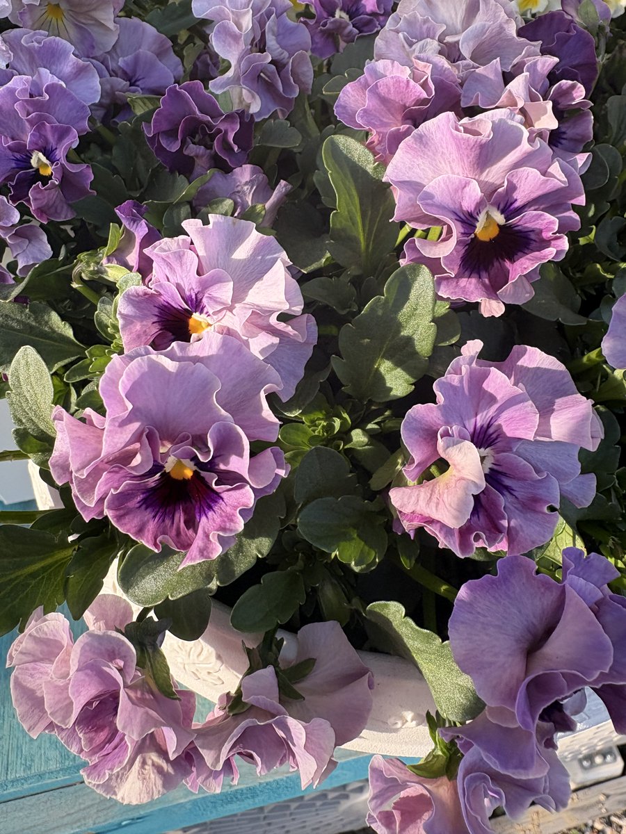 みーちゃん tweet media