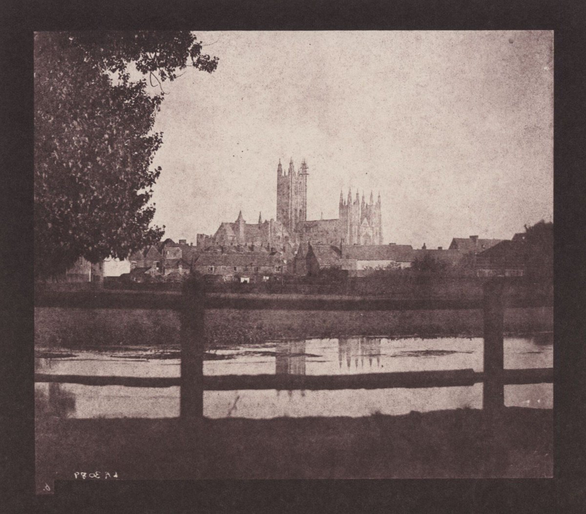 History Calendar tweet media