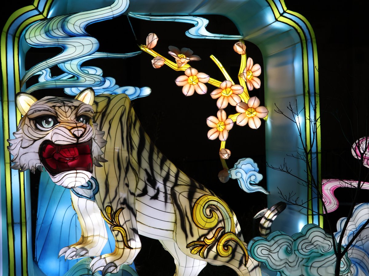 Saint Louis Zoo tweet media