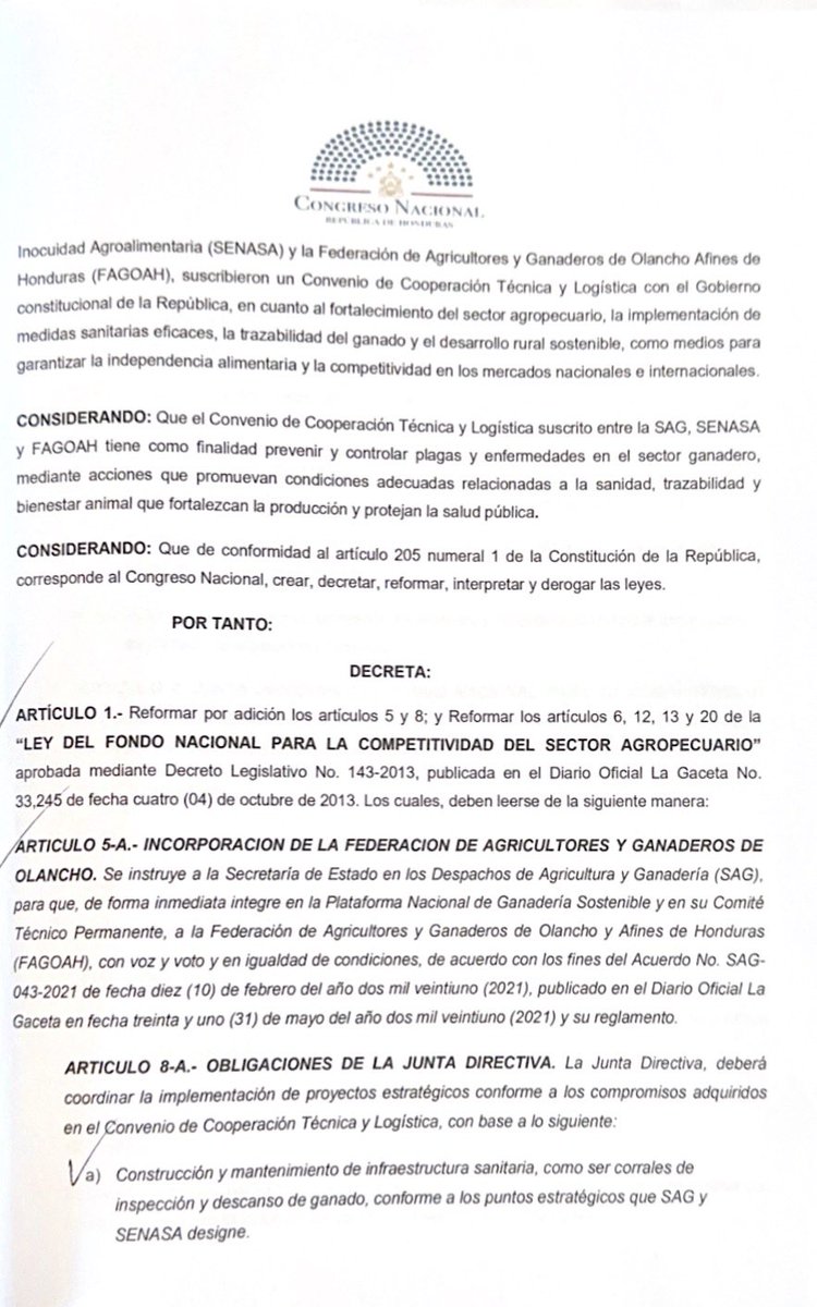 Rafa Sarmiento tweet media