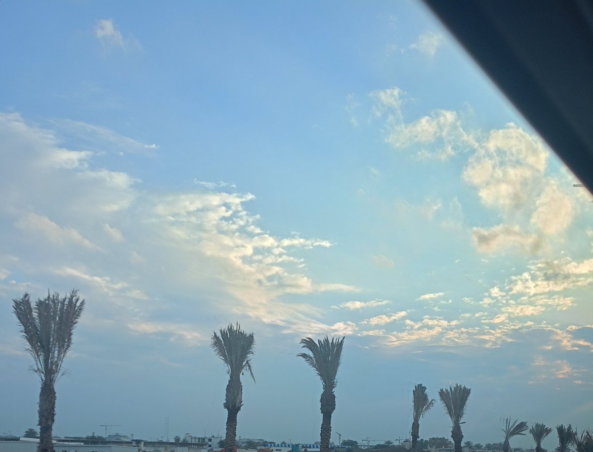 Rowaida AR tweet media