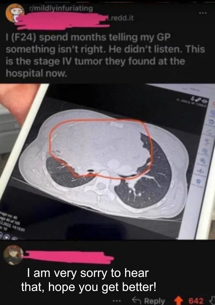 literal memes tweet media