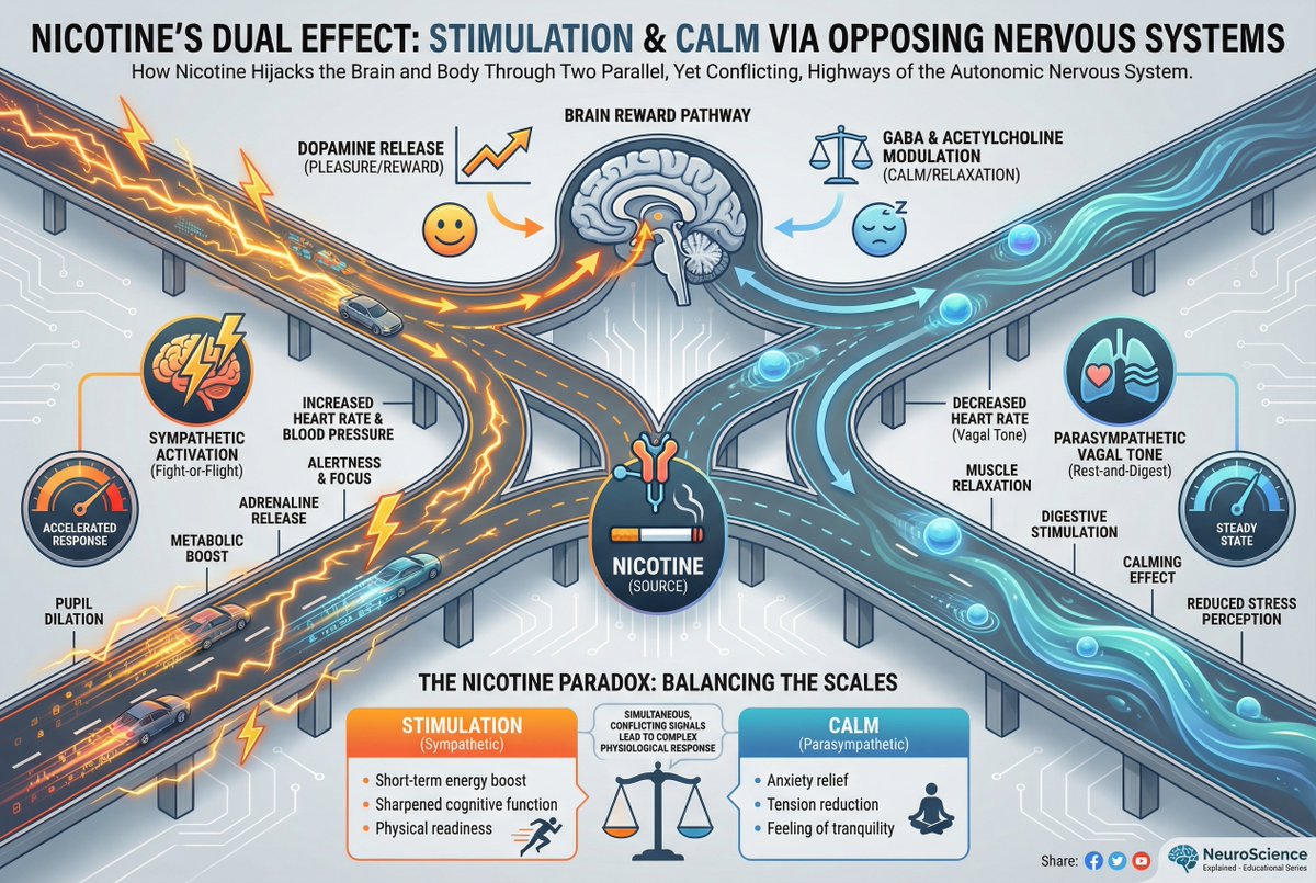Metabolic Uncle tweet media