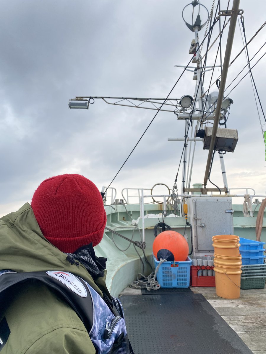 5代目孫兵衛 tweet media