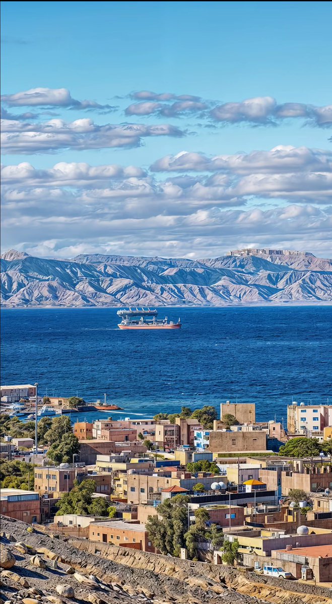 سناب محافظة حقل tweet media