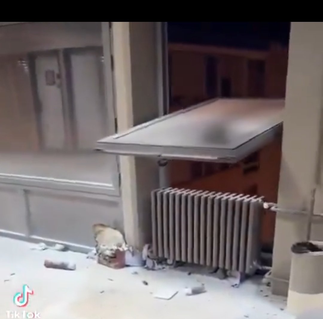 Viša SilA tweet media