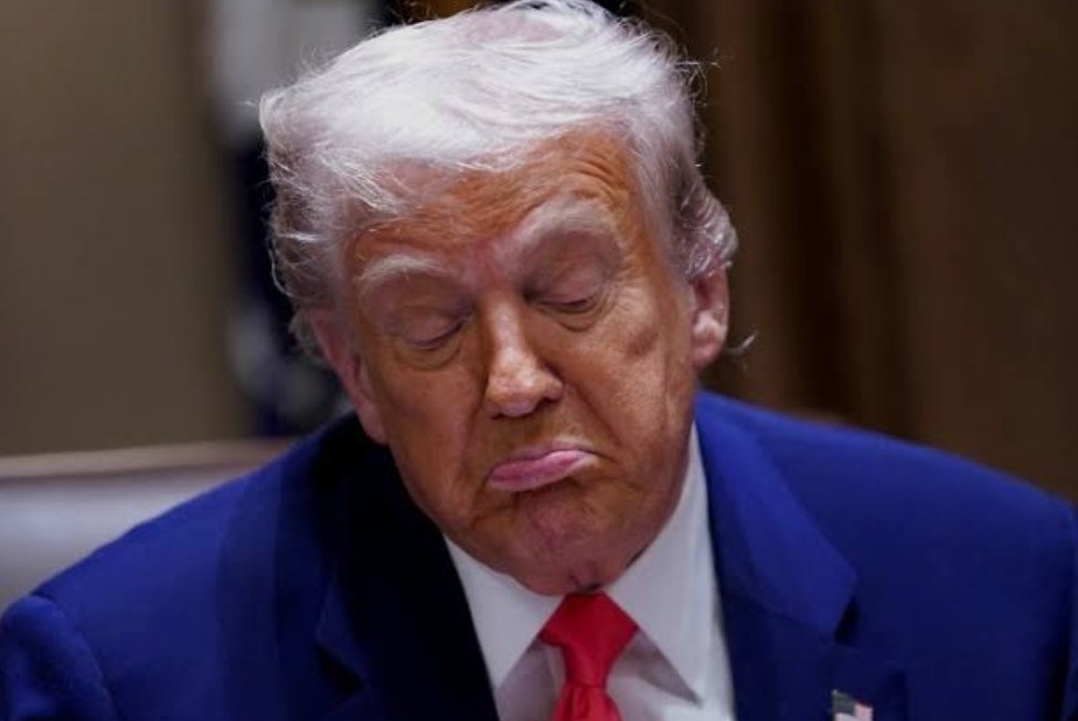 JEAN BOU GEDEON 💙 tweet media