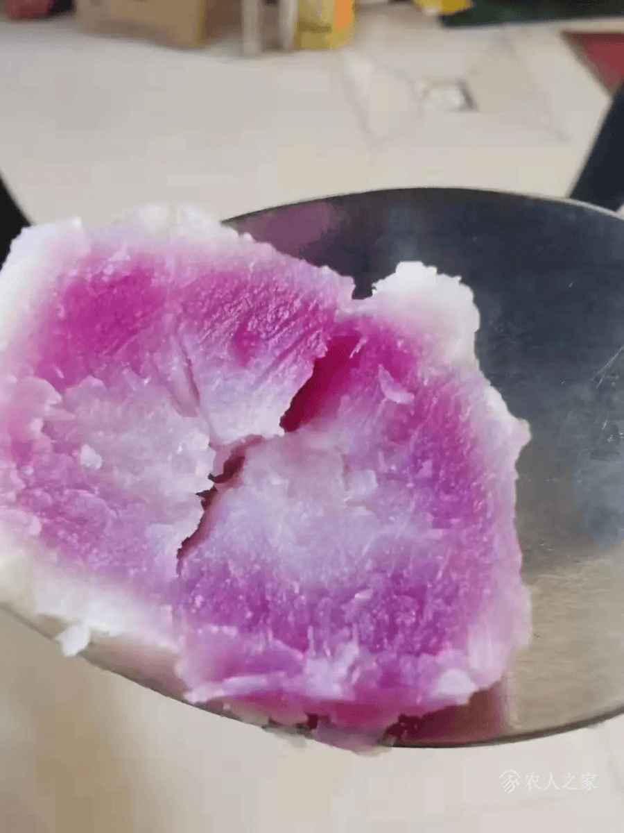 Verginia Chiarato tweet media