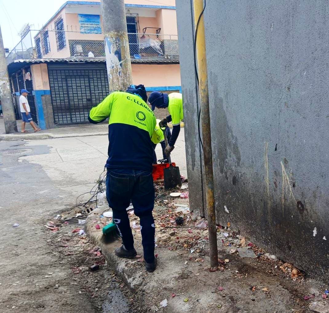 181 Responde tweet media