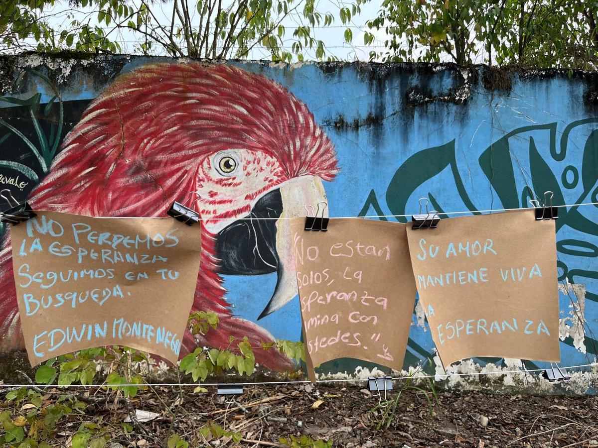 Mision de Apoyo al Proceso de Paz - OEA tweet media