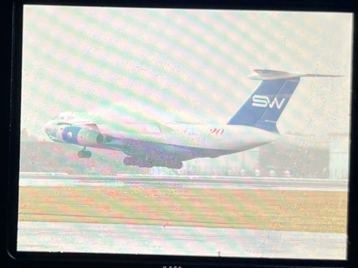 Springbok tweet media