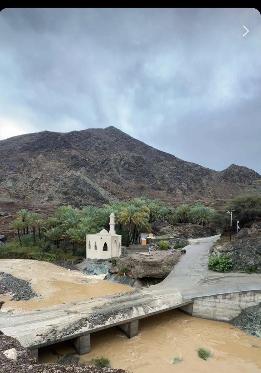 ابو ثامر القرشي🇸🇦 tweet media