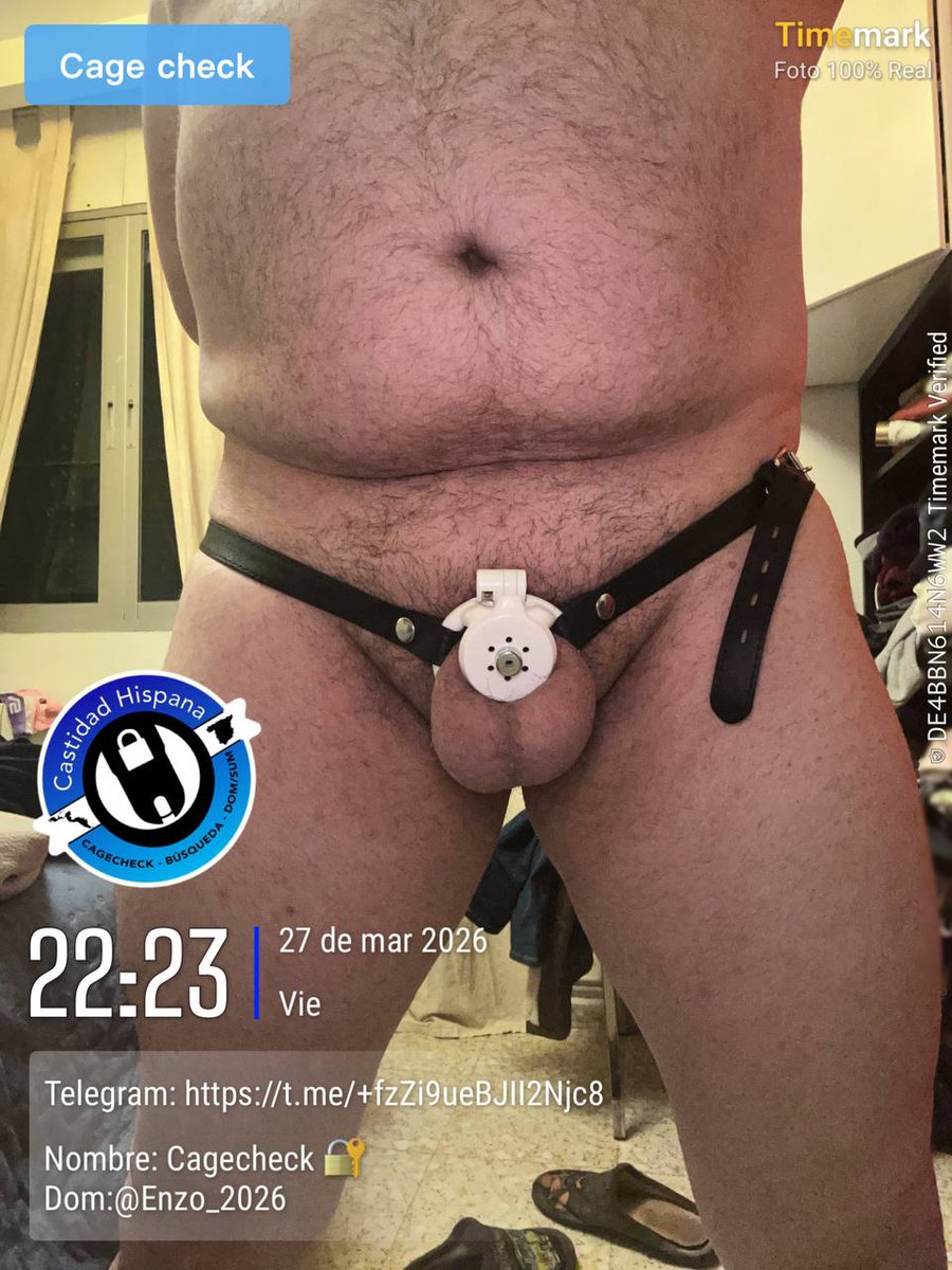 Alpha_Enzo tweet media