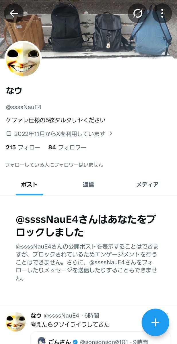 みー𒆙【岩喰いの𝐊】 tweet media