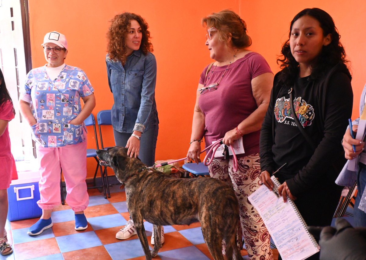 Denisse Ugalde tweet media