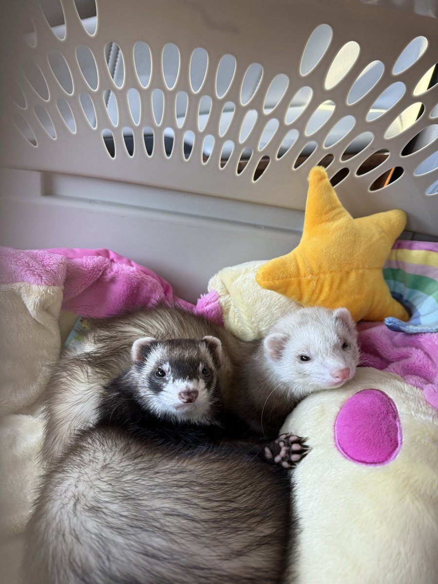 alex || wooseok ceo tweet media