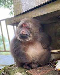 st4rScR3aM tweet media