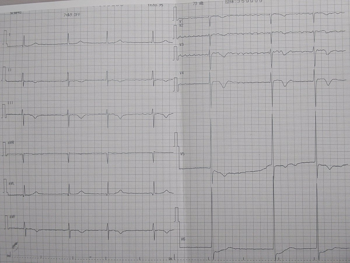 山本文洋 tweet media