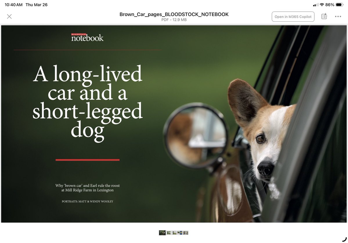 Headley Bell tweet media