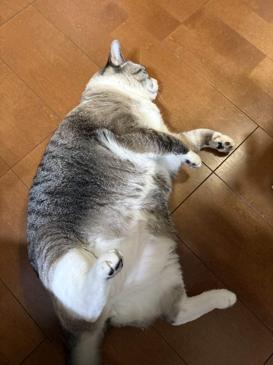 ずんた★もっち tweet media