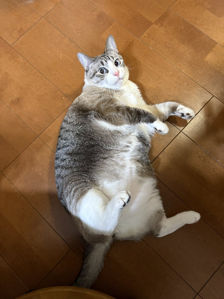 ずんた★もっち tweet media