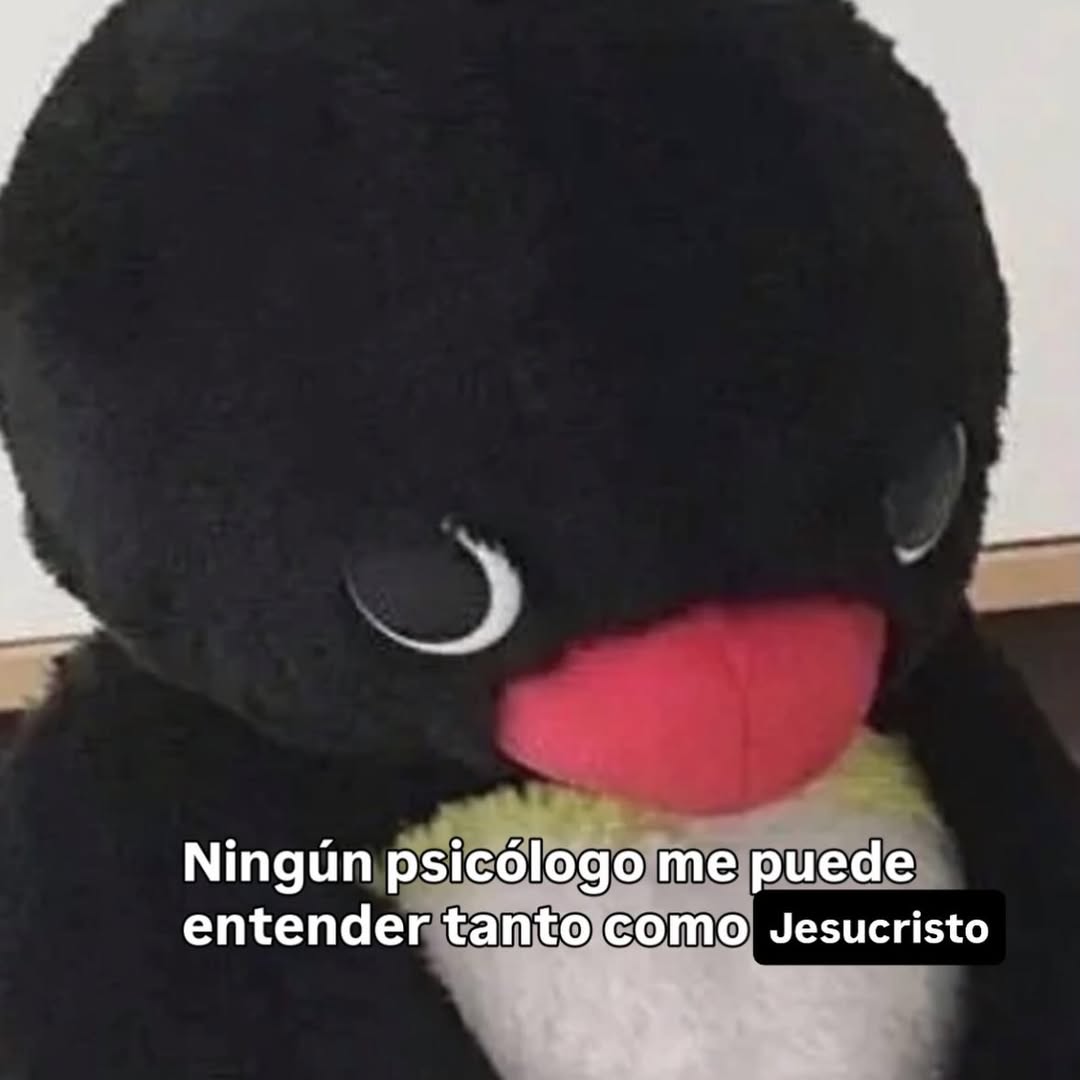 🤠✝️ tweet media