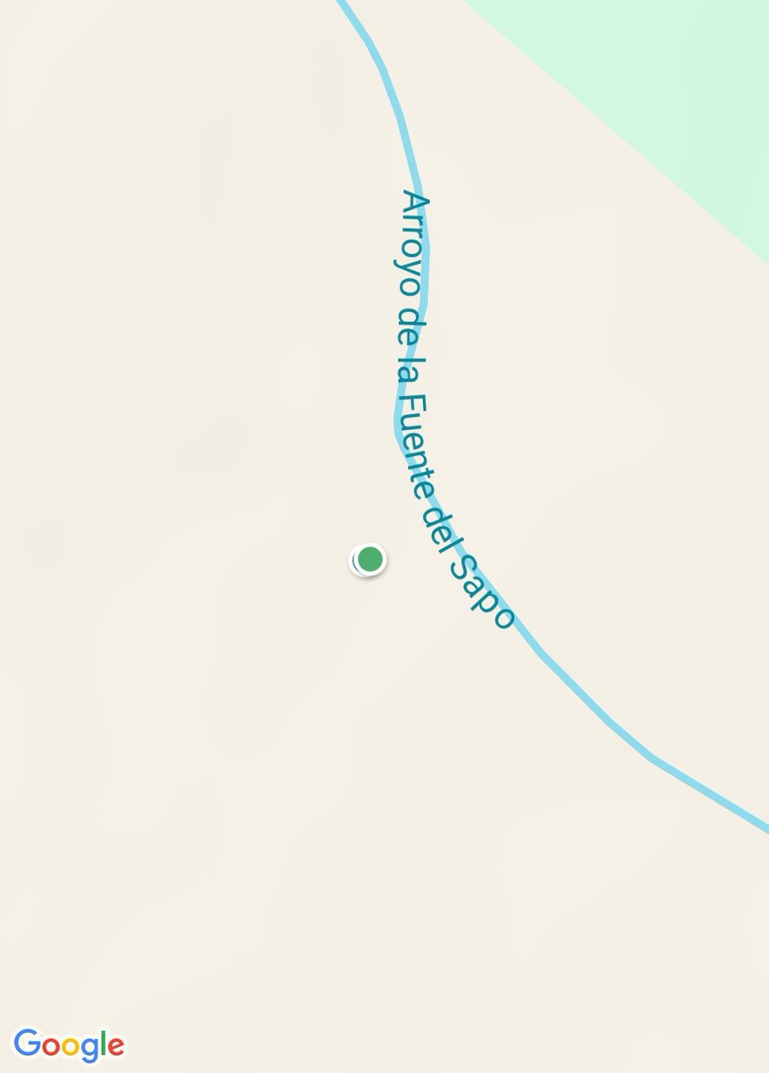 Ramon Blom 🇪🇸🌻🕉️ tweet media