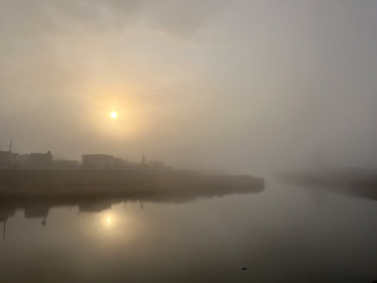 いつもの見慣れた風景が濃霧で幻想的な風景になってる
 #仙台 #七北田川