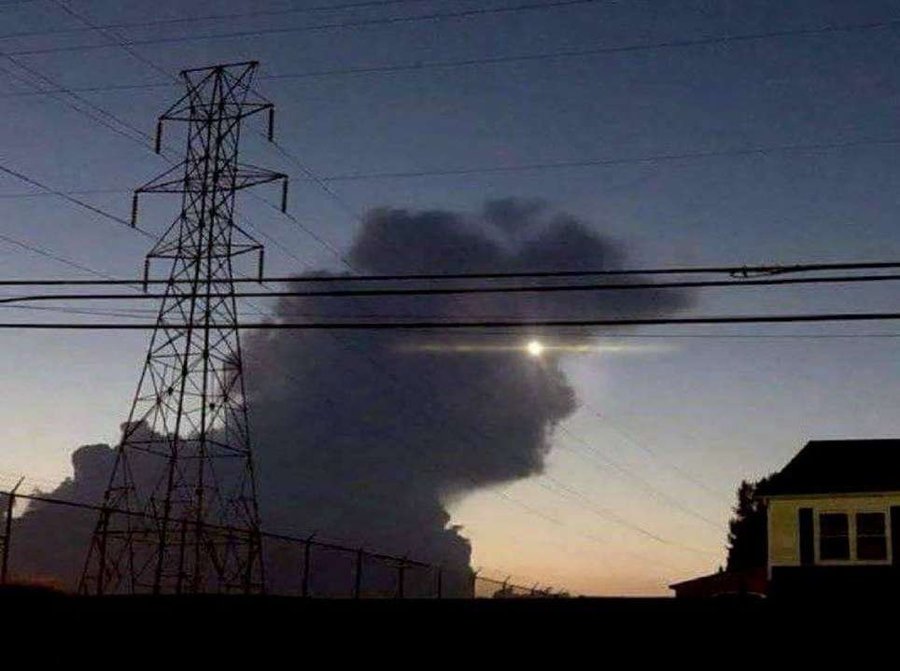 الجوهرة tweet media