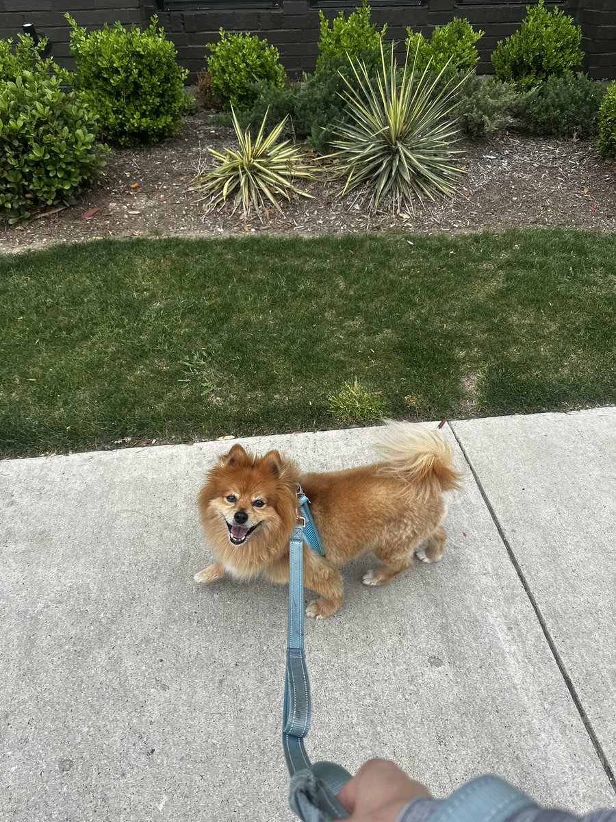 Breanna Morello tweet media