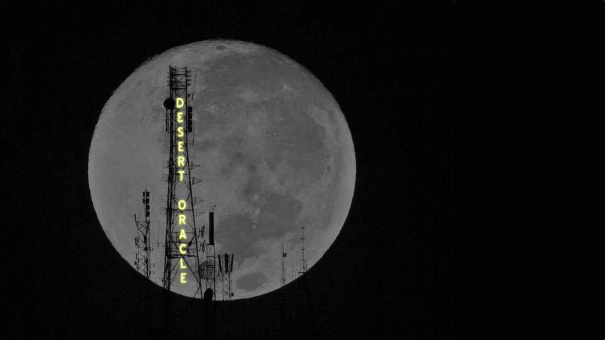 DESERT ORACLE tweet media