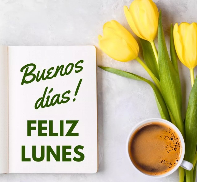 CSIF-USC Universidades 🟢 tweet media