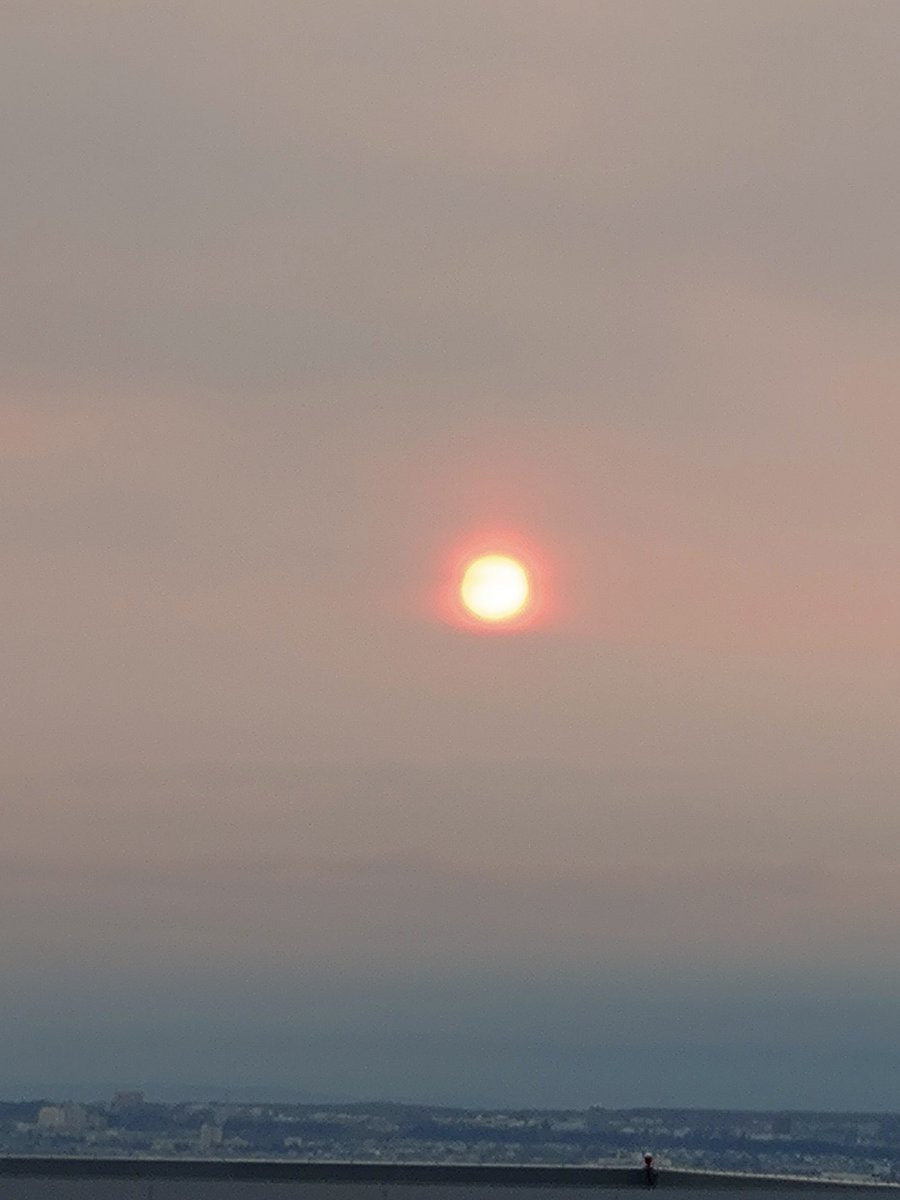 のんの tweet media