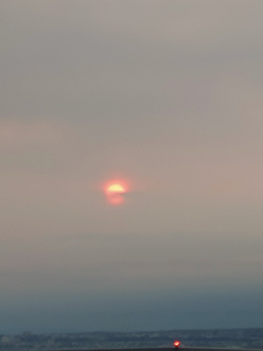 のんの tweet media