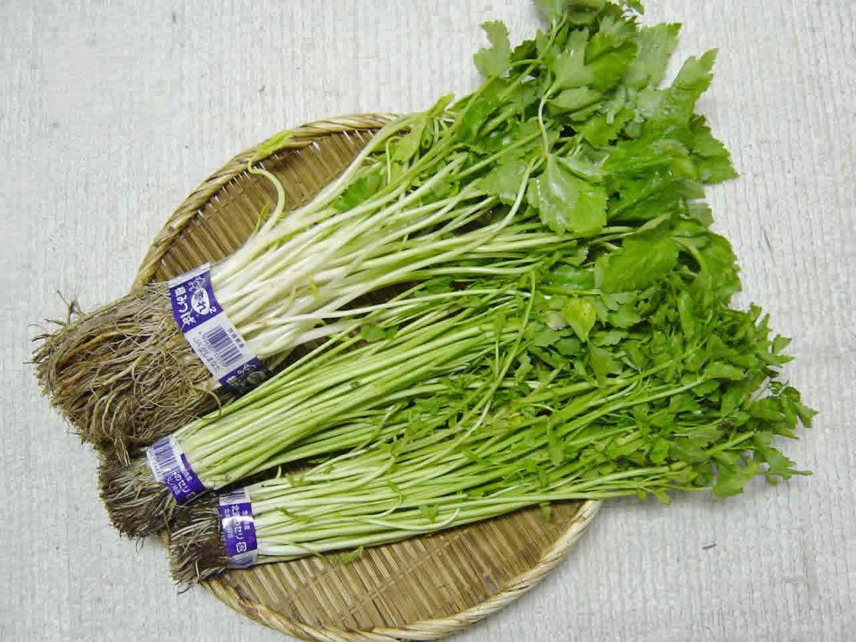 amiens international tweet media