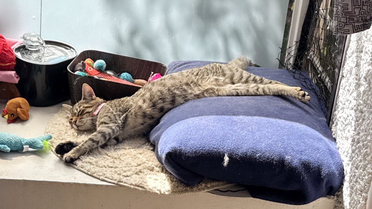 .Susana. tweet media