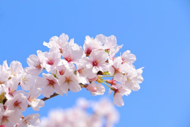 kazuma@スピリチュアルヒーラー tweet media