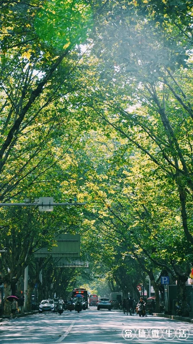 Pradeep Maurya  tweet media