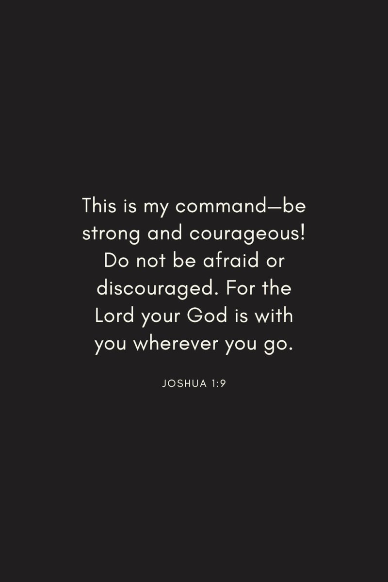 Holy Bible tweet media