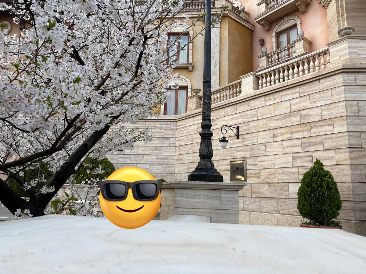 ティノ@デ部 tweet media