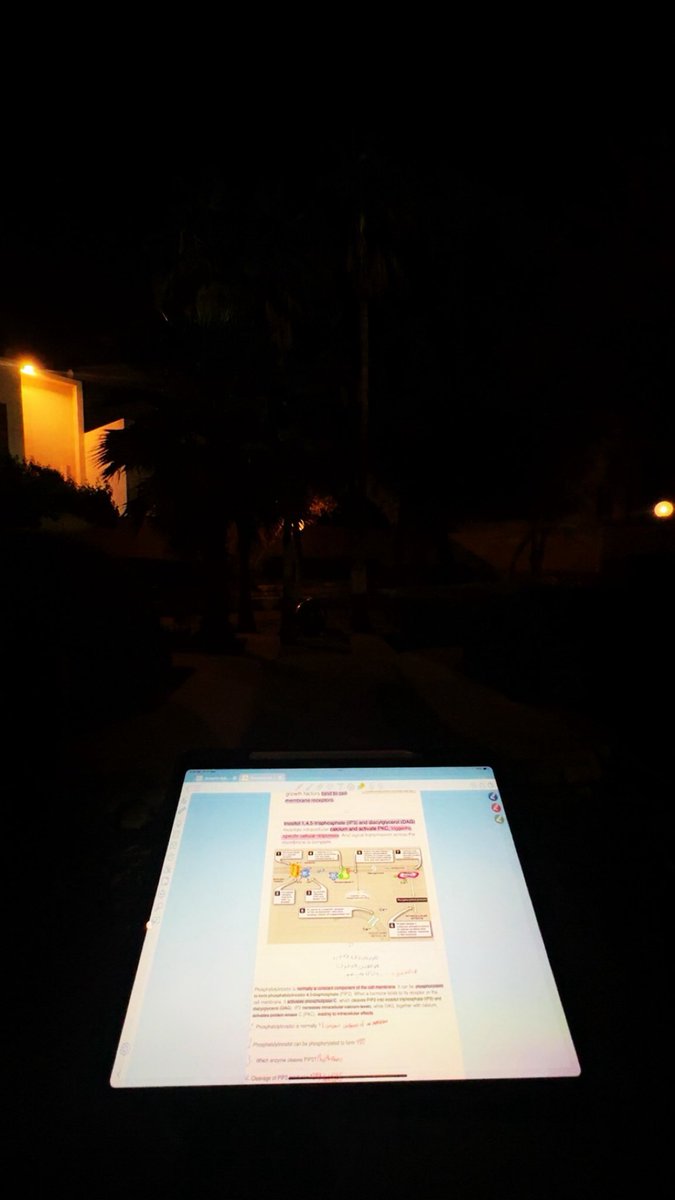 عَـريب tweet media