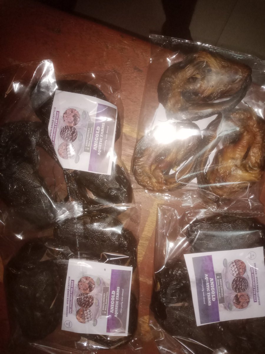 AnigoldAquatics's tweet image. Get premium smoked catfish from ANIGOLD AQUATIC FARMS 🐟  
Well‑degutted • Neatly oven‑dried • No preservatives • Sand &amp;amp; stone free  
Call/WhatsApp to order: 09031399283 • Ikire, Osun State  
#FishLovers #SmokedCatfish #DriedFish #Catfish #ProteinPacked #FarmFresh