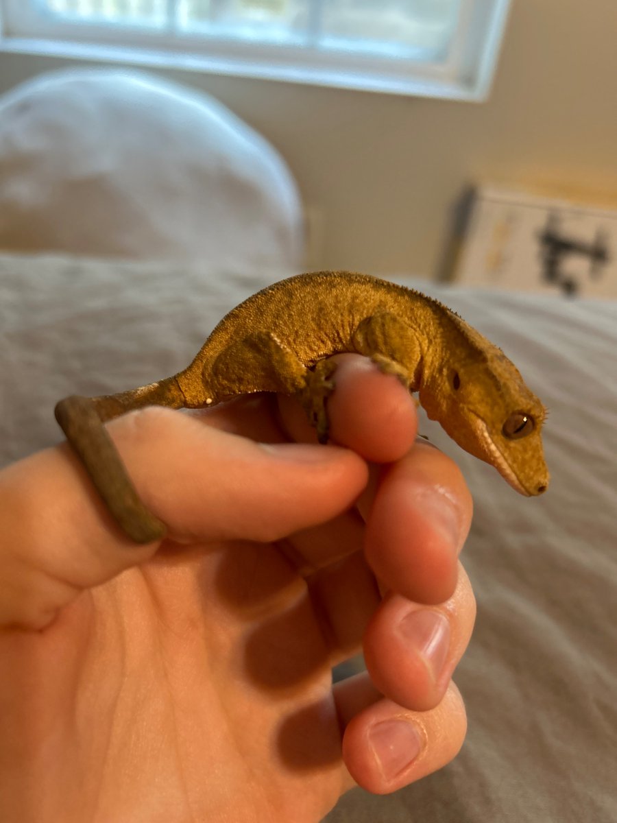 pvccutters 🍀 tweet media