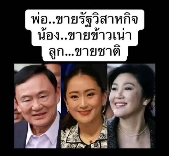 redbamboo16ret tweet media