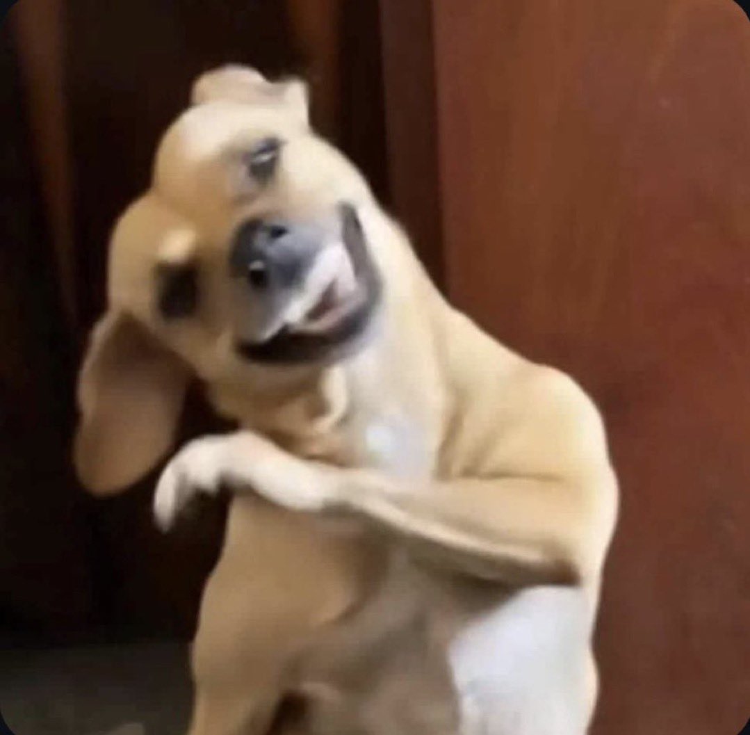 egero cipone tecnológico tweet media